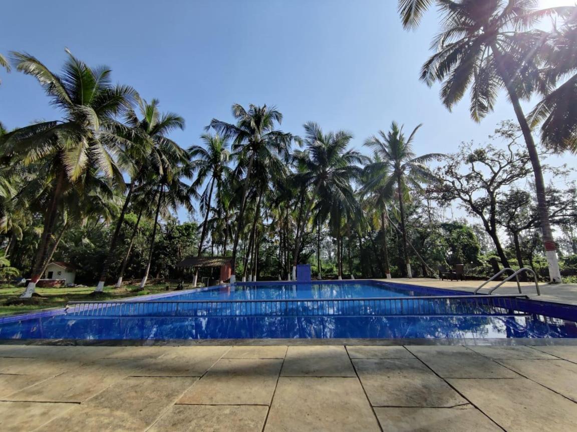 White House Beach Resort, Nagaon Nagaon (Maharashtra) Exterior foto